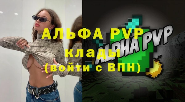 гашик Вязьма