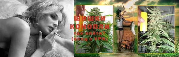 каннабис Майский