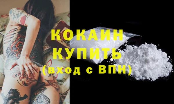 дживик Ачинск