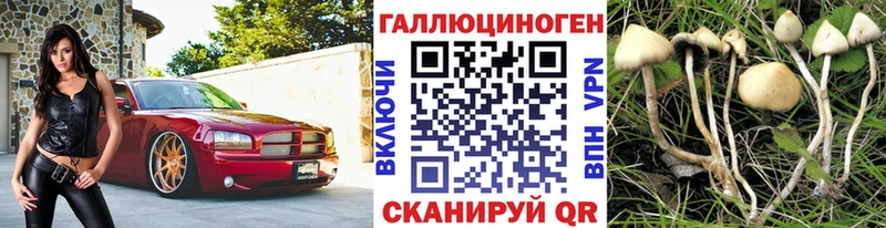 Псилоцибиновые грибы прущие грибы  Зарайск 